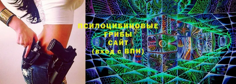 дарнет шоп  Покровск  Галлюциногенные грибы Psilocybine cubensis 